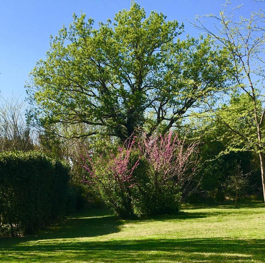 مبيت وإفطار LʼIsle-sur-la-Sorgue Campagne Baudeloup المظهر الخارجي الصورة