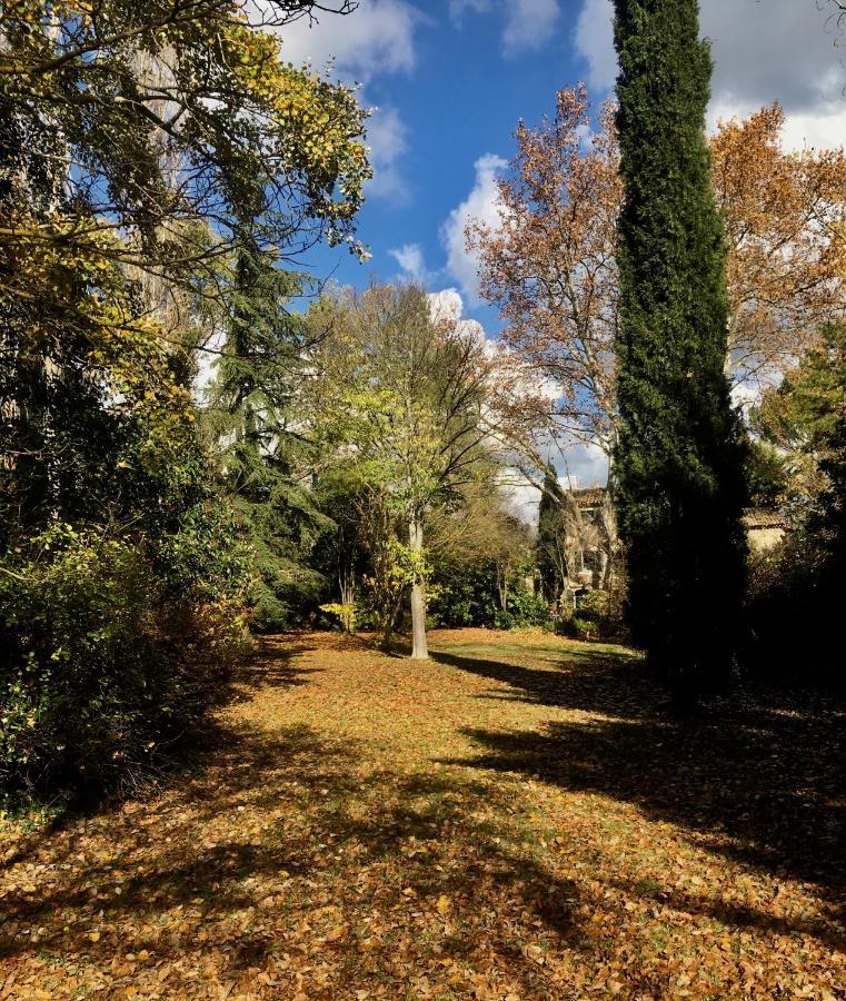 مبيت وإفطار LʼIsle-sur-la-Sorgue Campagne Baudeloup المظهر الخارجي الصورة